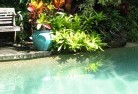 Banksia Parkswimming-pool-landscaping-3.jpg; ?>